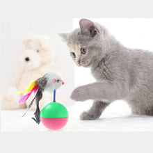 Durable Pet Cat Tumbler Plastic