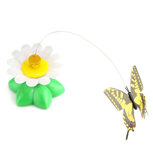 Cat Toys Electric Rotating Colorful Butterfly