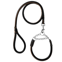 Pet Dog Leash with Collar Set Walking Trainer