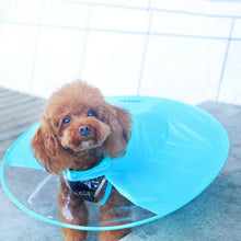Pet Dog Rain Coat