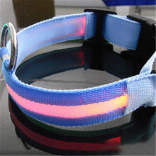 8 Colors LED Dog Pet Night Collar