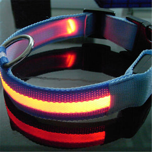 8 Colors LED Dog Pet Night Collar