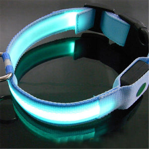 8 Colors LED Dog Pet Night Collar