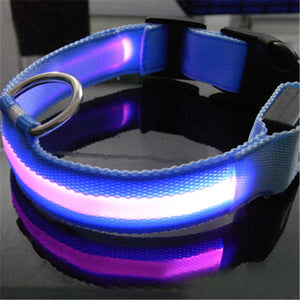 8 Colors LED Dog Pet Night Collar