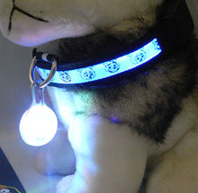 Nylon Bright Dog Pet LED