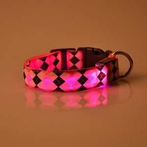 Pets Dogs Collar LED